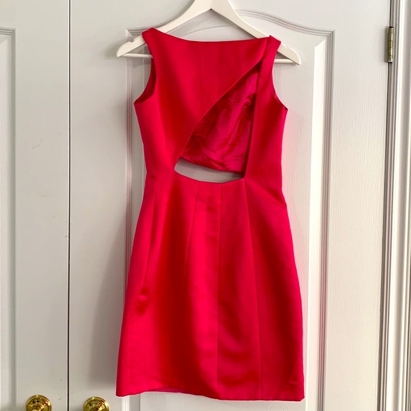Linda Segal Pink Cutout Dress 💕 - Picture 2 of 2